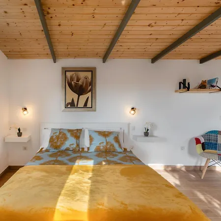 Oasis Samuel * Garachico (Tenerife)