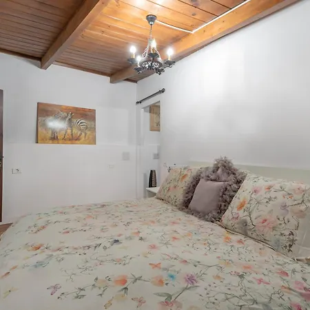 Oasis Samuel Vila Garachico (Tenerife)